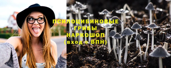 амф Белокуриха